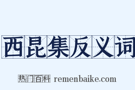 西昆集反义词是什么意思的图片